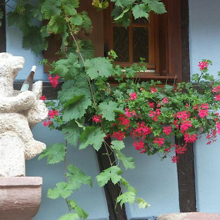 Chambres D'Hotes Ruhlmann Dambach 외부 사진